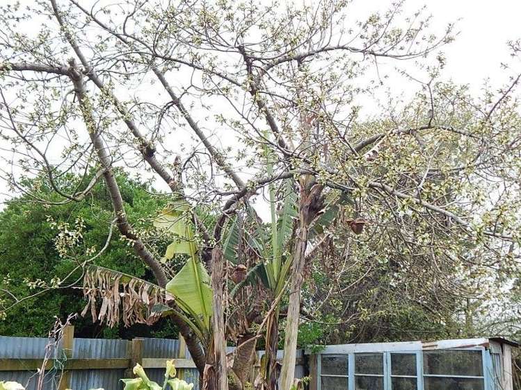 25a Queen Street Westport_17