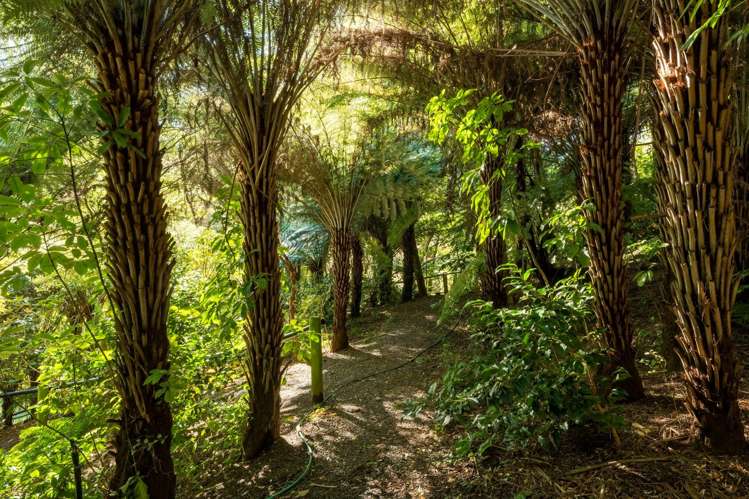 29 Manuka Drive Ngakuta Bay_33