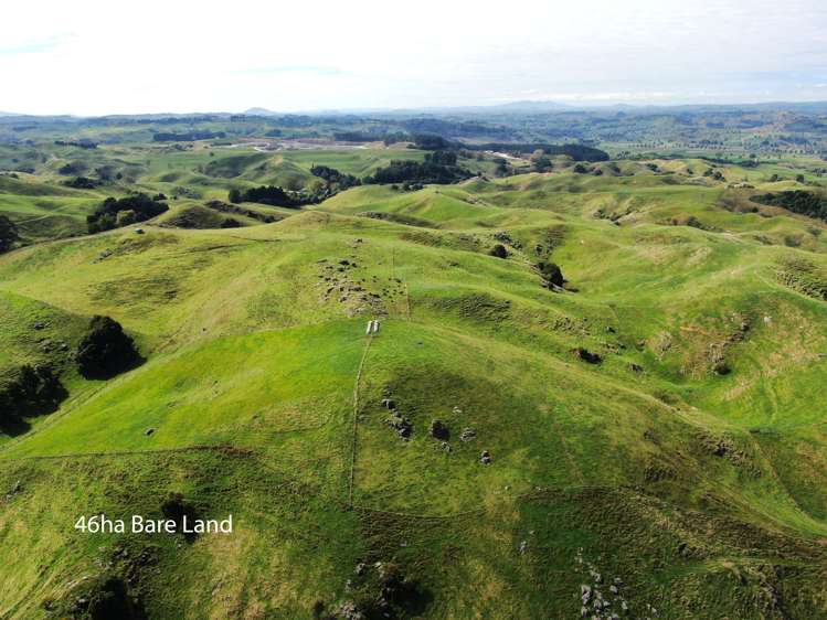 Oparure Road Te Kuiti_14