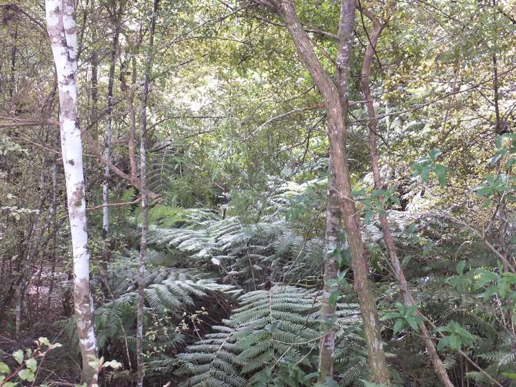 63 Wainui Road Kaeo_5