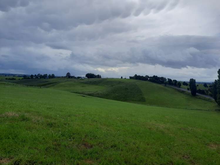 35 Grove Access Road Karamu_34