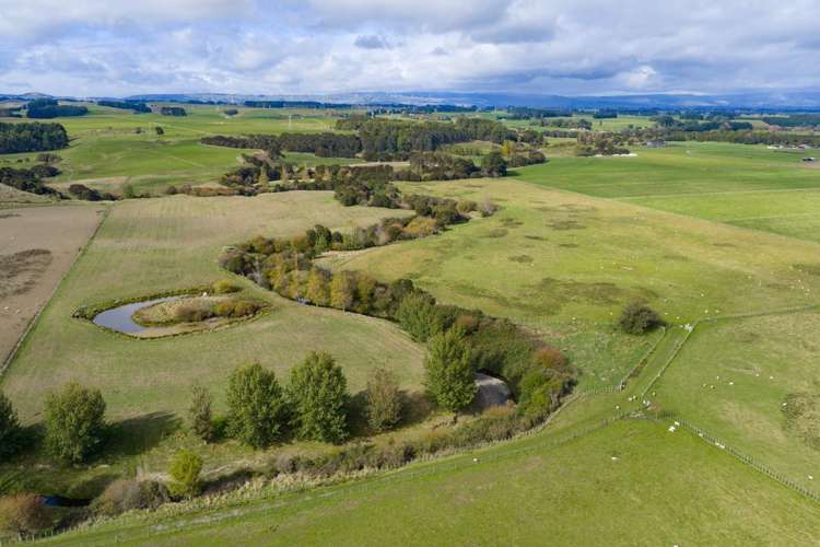 620 Taonui Road Colyton_6