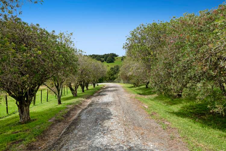 1178 Pohuehue Road Warkworth_15