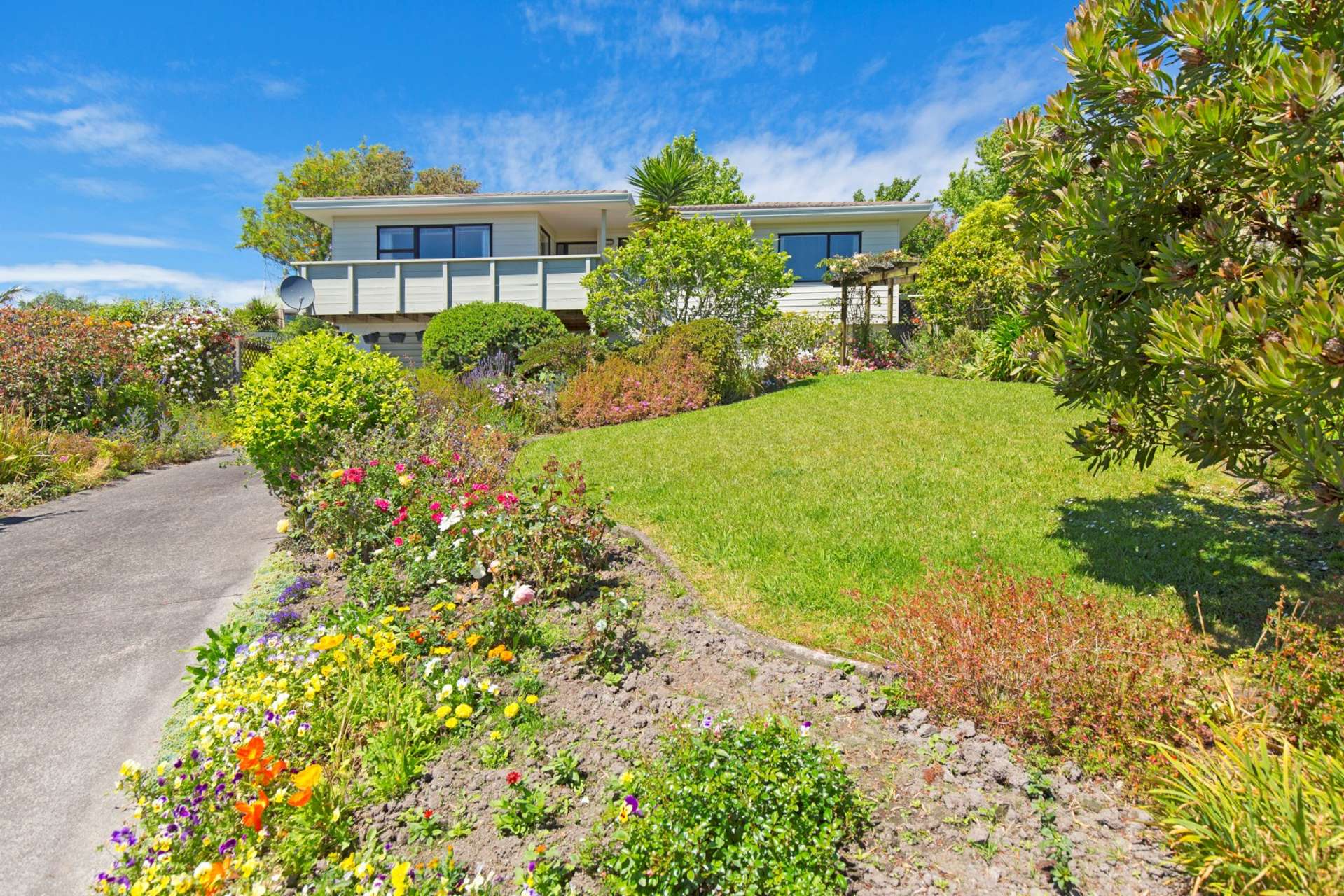 18 Jean Place Stanmore Bay_0