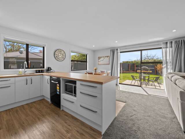 20 David Street Hinds_2