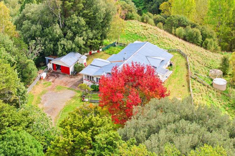 3499 State Highway 4 Kakatahi_25