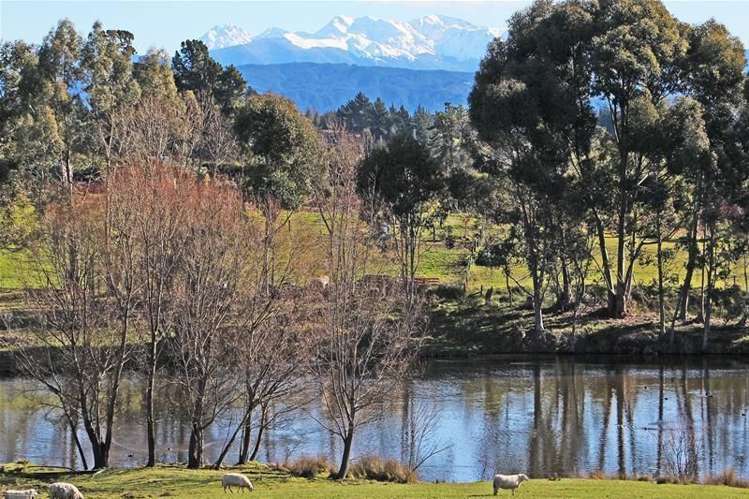 28 Tarrant Road Upper Moutere_15