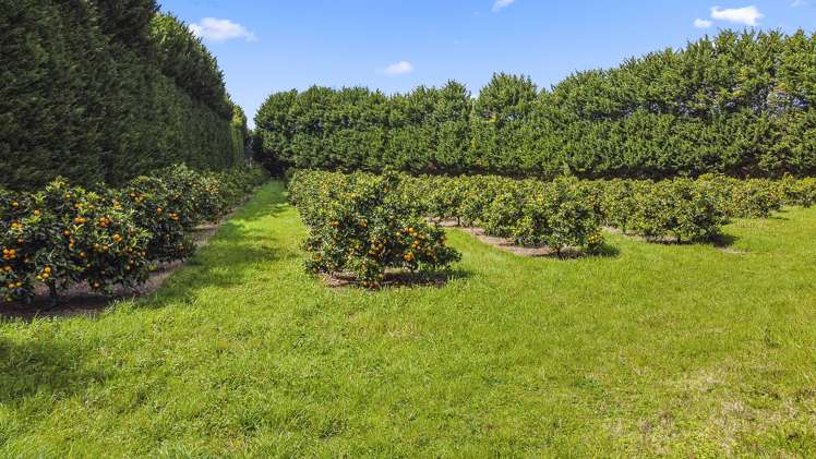 908 Te Ahu Ahu Road Waimate North_10