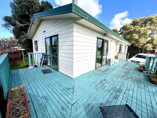 33B Koromiko Street New Lynn_1