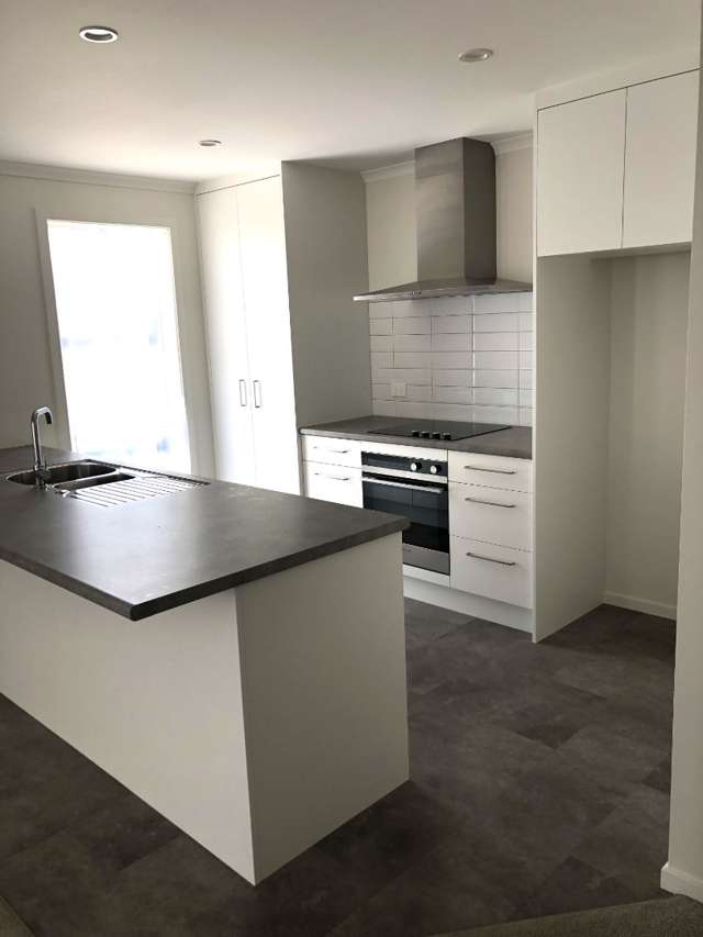 21 River Road Masterton_3