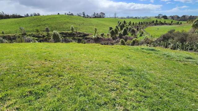 369 Tarata Road Inglewood_2