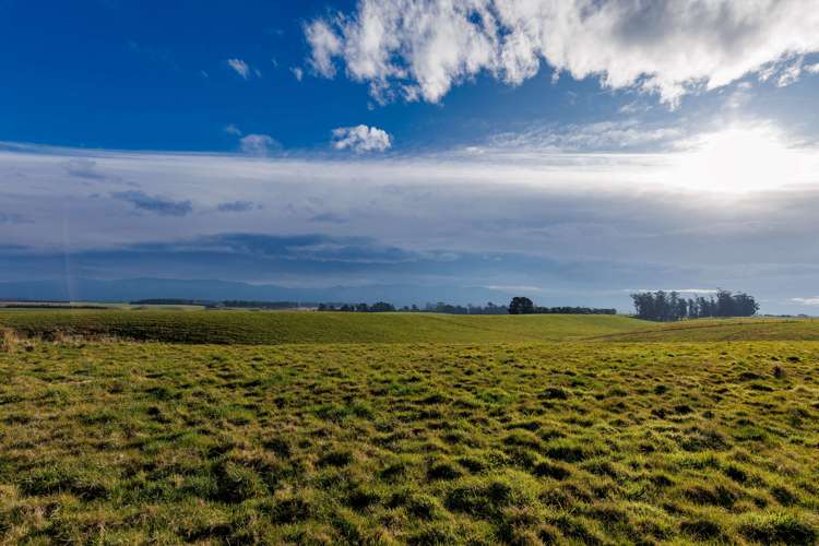 Horseshoe Bend Road Waimate_4