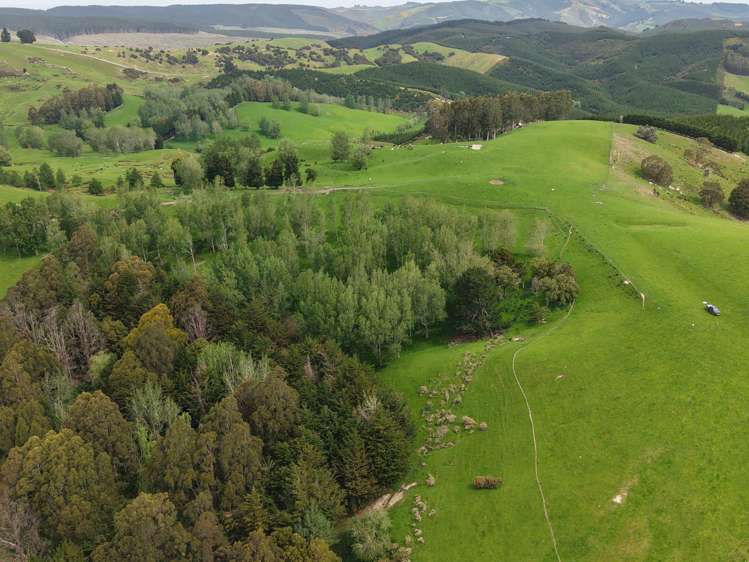 66 Otokia-Kuri Bush Road West Henley_15