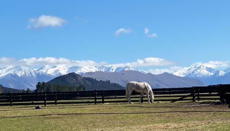 474 Wanaka-Luggate Highway Wanaka_15