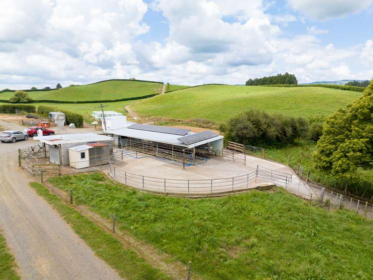 83 Waikuku Road Morrinsville_5