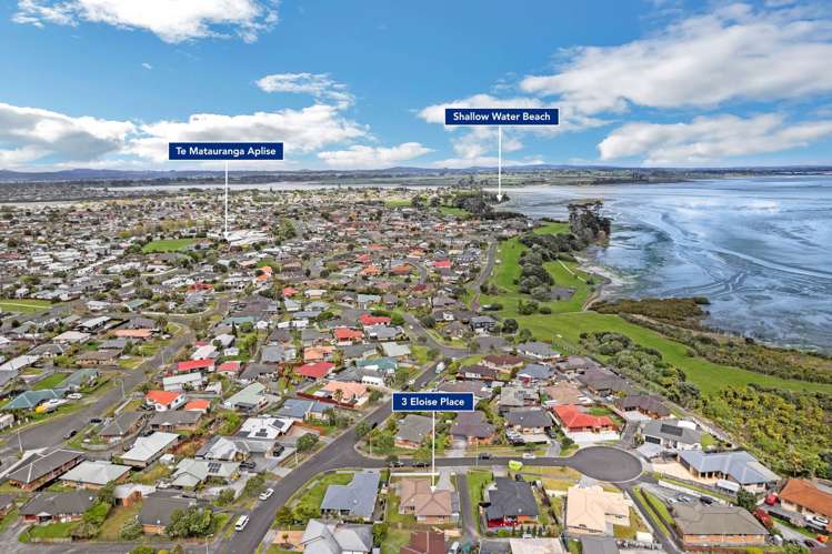 3 Eloise Place Clendon Park_31