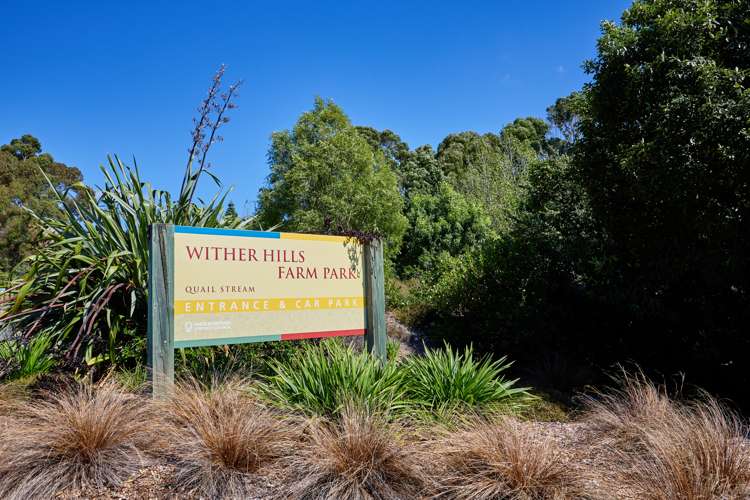 59 Forest Park Drive Witherlea_26