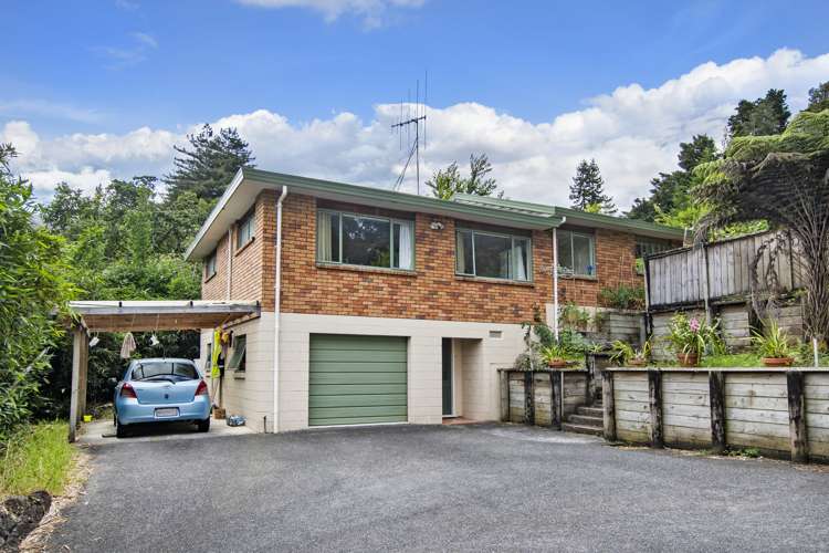 252 Maunu Road Horahora_0