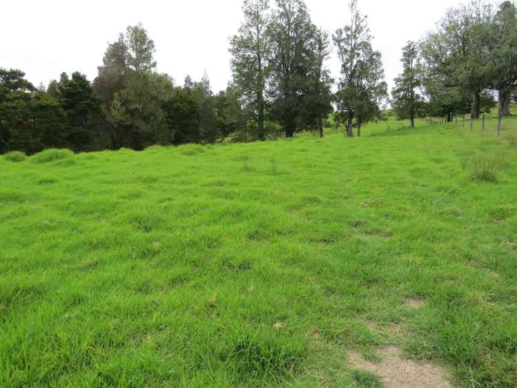 Lot 4 Taylor Road Taipa_16