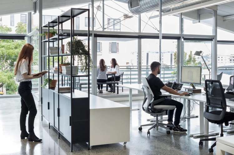 1A Farnham Street Parnell_3