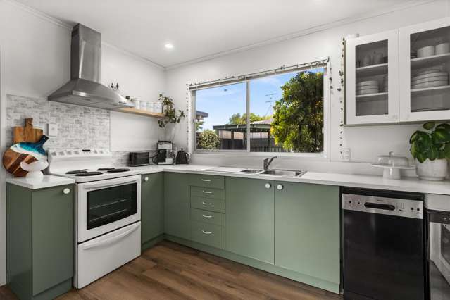 56 Rochester Street Tamatea_1