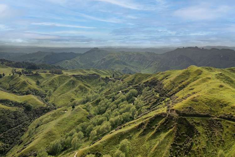 3104 Mangamahu Road Mangamahu_15