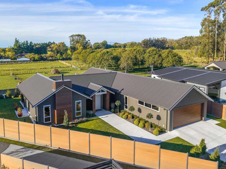 25 Phoenix Palms Grove Levin_24