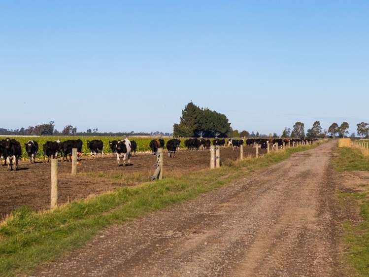 1347 Rakaia Highway Chertsey_10