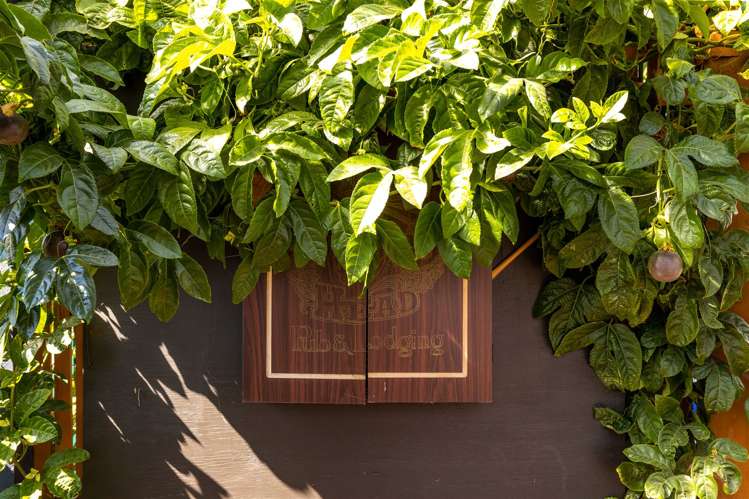 43 Inkerman Street Renwick_14