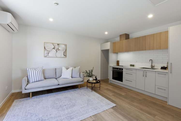 32 Shelduck Road Jacks Point_17