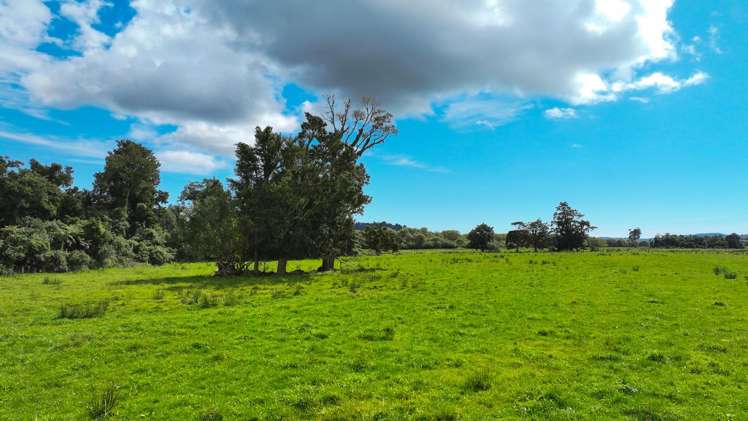 217 Poerua Valley Road Harihari_26