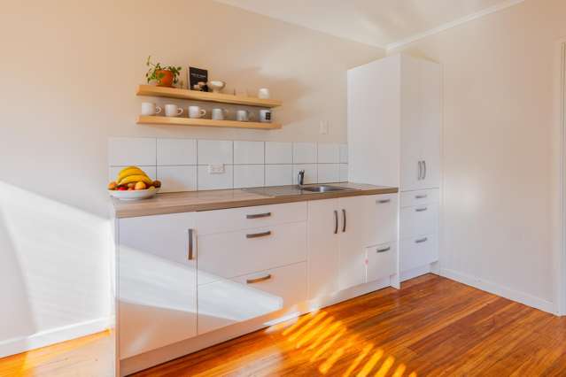 68 Racecourse Road Waipukurau and Surrounds_4