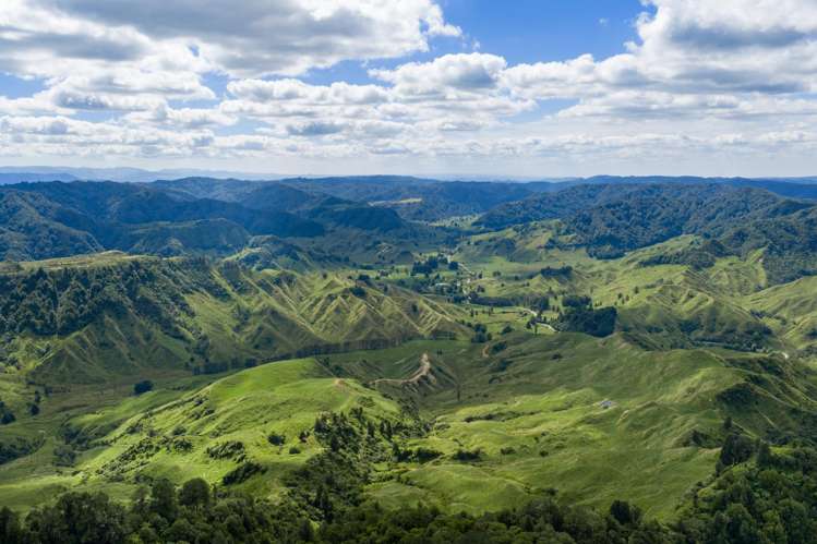 1221 Waitewhena Road Taumarunui_18