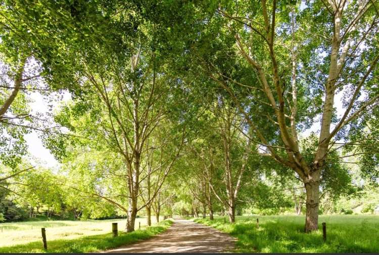 48 Doel Road Kawakawa_11