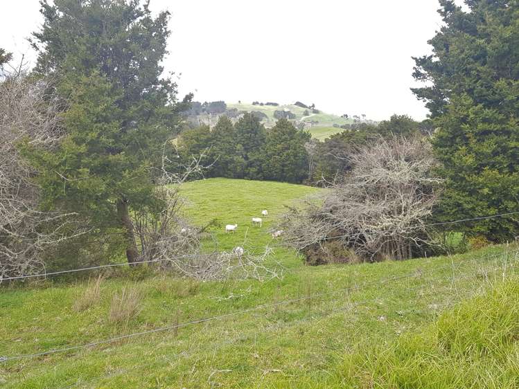 504 Wairere Road Paparoa_26