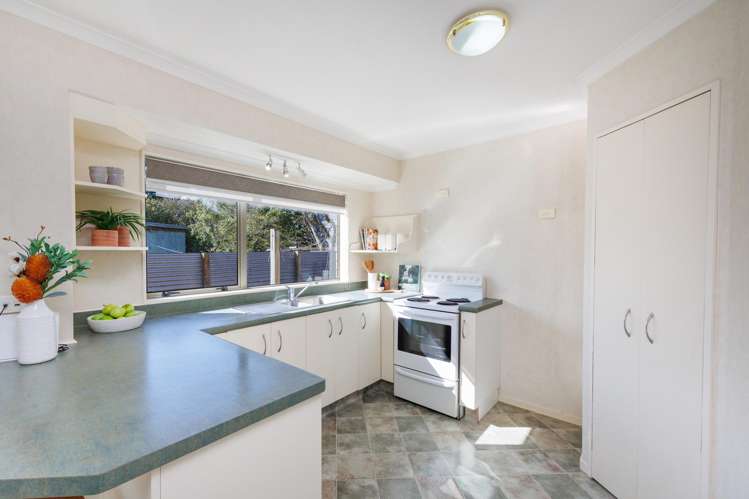 32 Mcgregor Street Milson_9