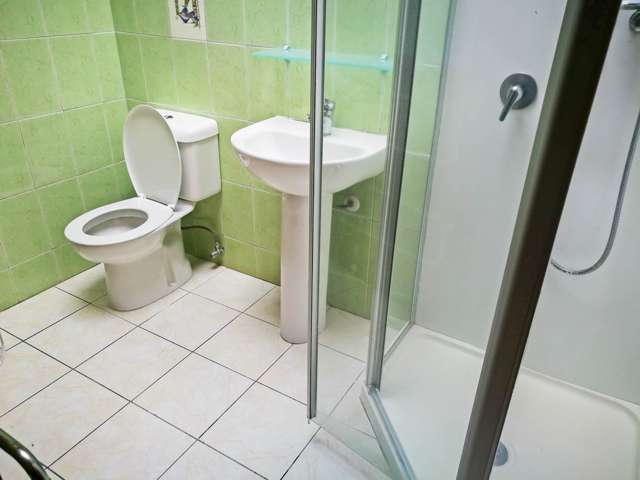 24 Acorn Street Royal Oak_4