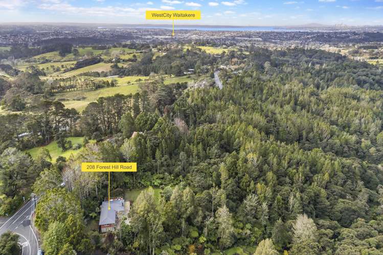 208 Forest Hill Road Waiatarua_29