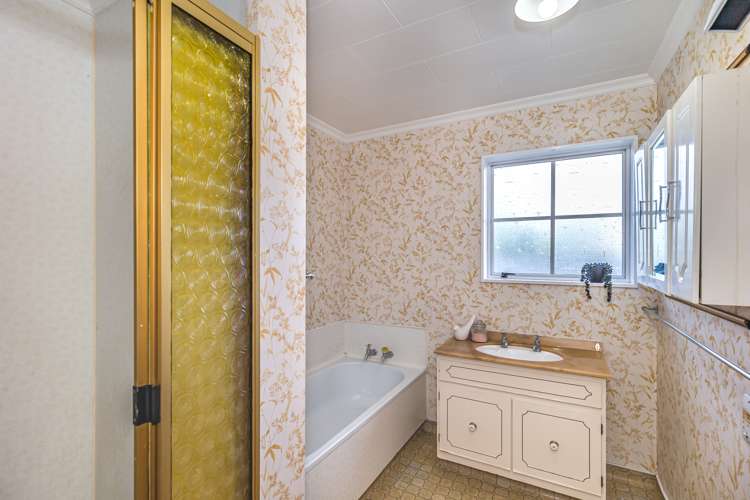 100a Winchester Street Levin_8