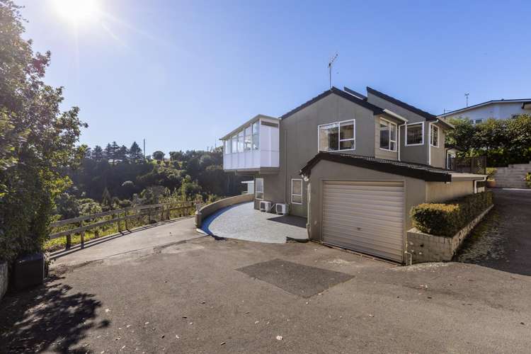 2/3 Lighthouse Road Bluff Hill_16