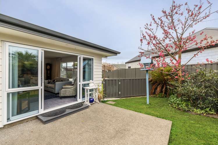 36A Te Aute Road Havelock North_6