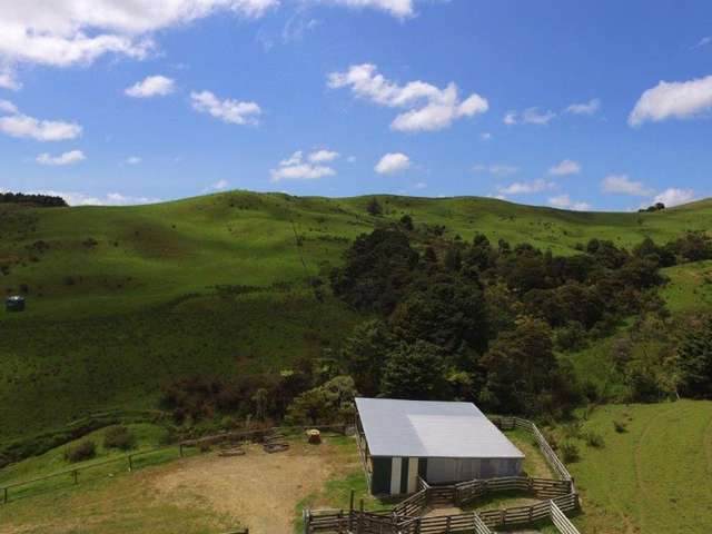 450 Brooks Road Waipu_4