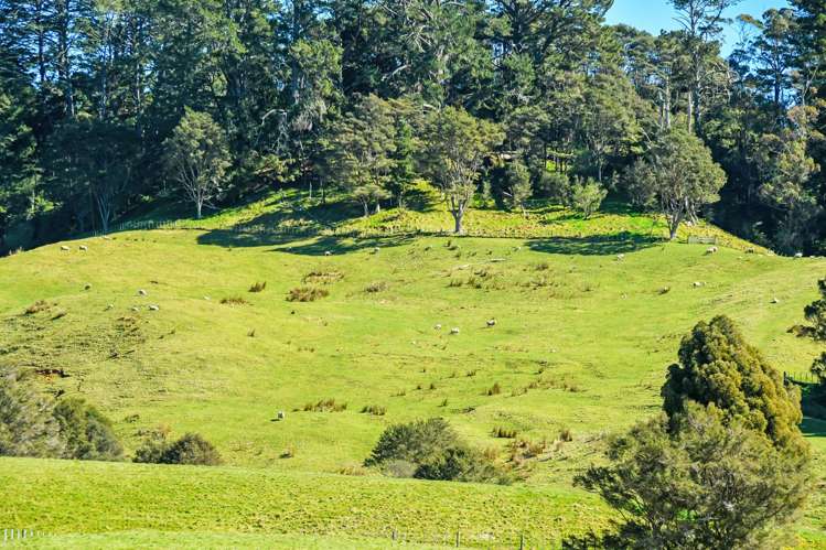 304 Paparimu Road Hunua_13