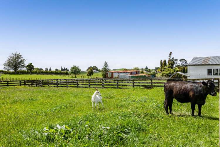 77 Kent Terrace Midhirst_13