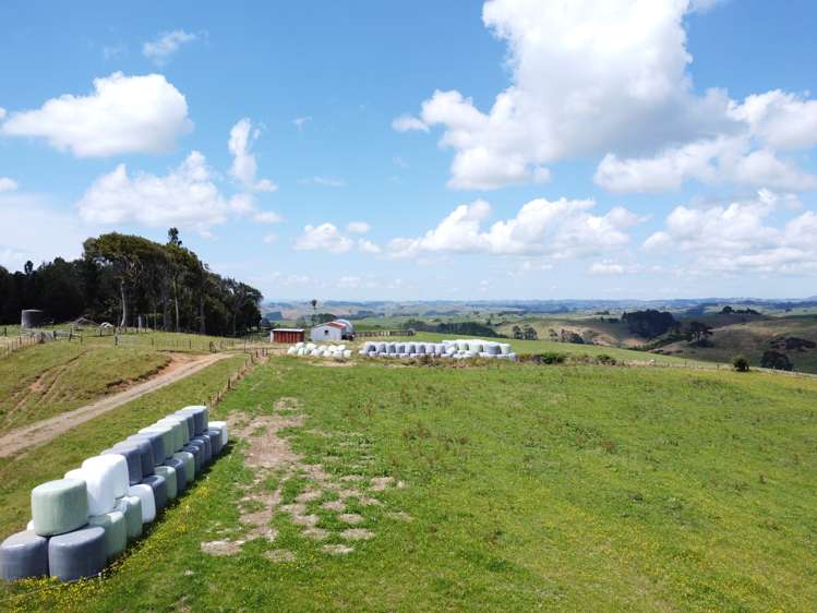 870 Mangati Road Pirongia_28