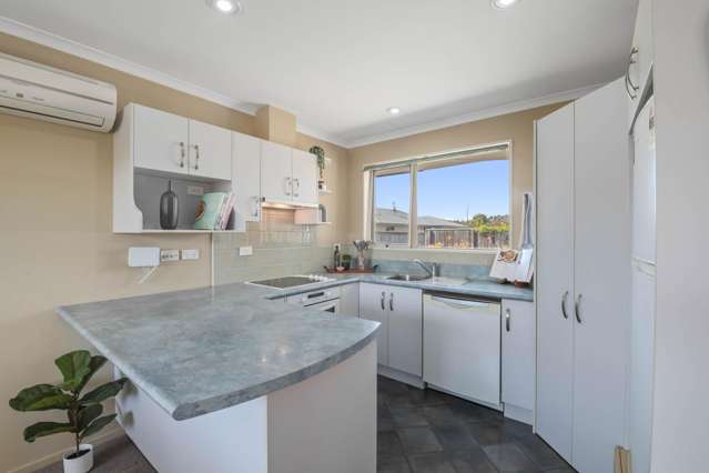 46 Tremorne Avenue Blenheim_4