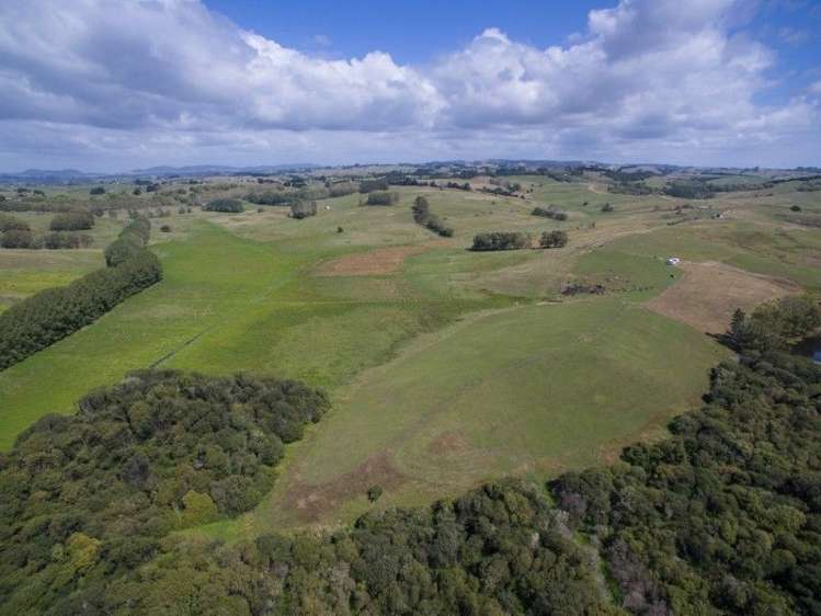 137 Sanson Road Ruawaro_12