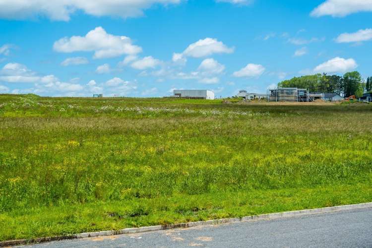 22 Aeropark Drive Dairy Flat_9