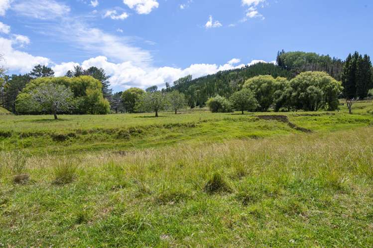 285 Waiomoko Road Whangara_45