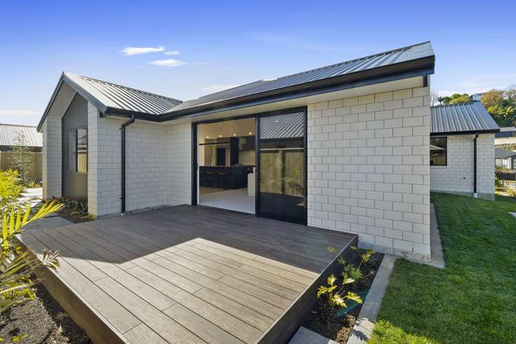 35 Sycamore Grove Lower Vogeltown_7